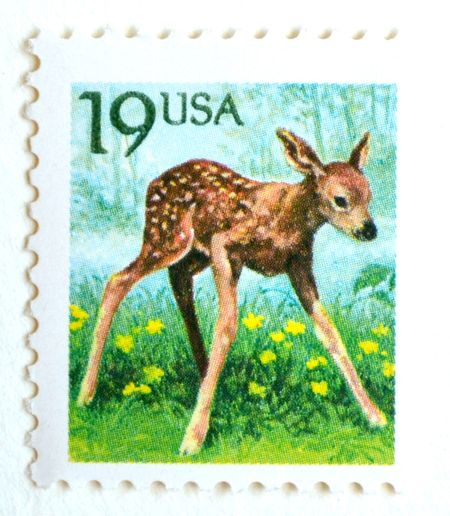 100 Vintage Fawn Postage Stamps Unused Baby Deer Stamps for Mailing